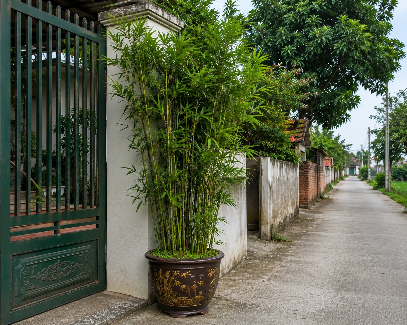 4 loại cây vừa làm đẹp cảnh quan vừa giúp giảm sát khí theo quan niệm phong thủy 4 loại cây vừa làm đẹp cảnh quan vừa giúp giảm sát khí theo quan niệm phong thủy