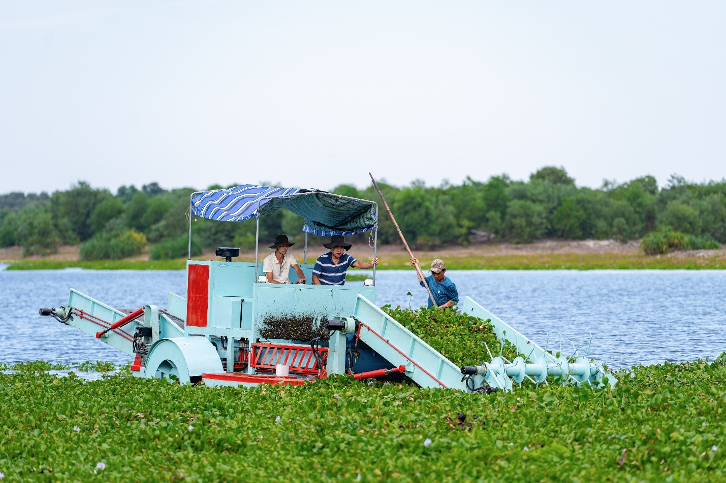 Máy cắt bèo mới: Giải pháp cơ giới hóa làm sạch sông ngòi ở Huế Máy cắt bèo mới: Giải pháp cơ giới hóa làm sạch sông ngòi ở Huế