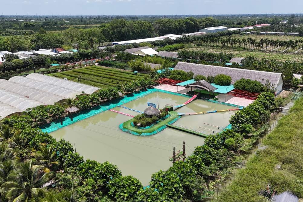 Kinh tế sinh vật cảnh kết hợp du lịch sinh thái: Hướng đi mới từ khu vườn gần 2ha ở Cần Thơ Kinh tế sinh vật cảnh kết hợp du lịch sinh thái: Hướng đi mới từ khu vườn gần 2ha ở Cần Thơ