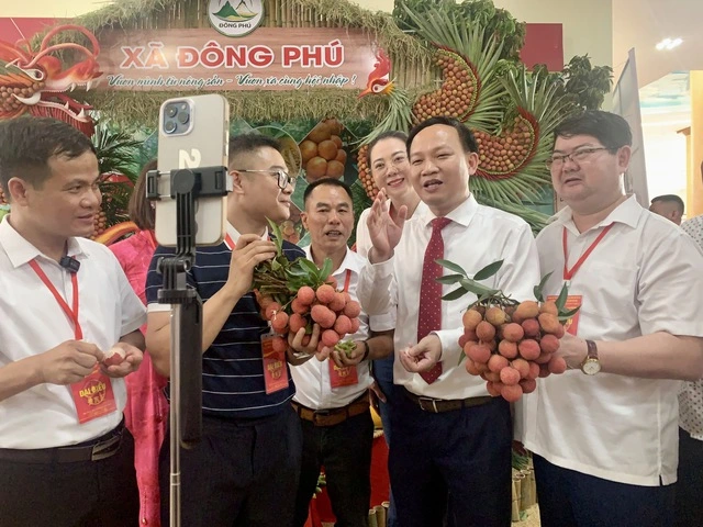 Vải Bắc Ninh được săn đón, doanh nghiệp lo thiếu nguyên liệu chế biến và xuất khẩu Vải Bắc Ninh được săn đón, doanh nghiệp lo thiếu nguyên liệu chế biến và xuất khẩu