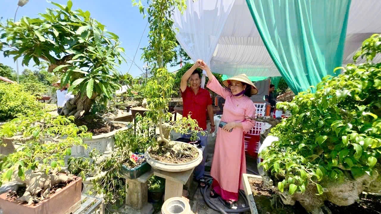 Giao lưu nghệ thuật bonsai Thái Nguyên: Đoàn kết, phát triển và vươn tầm