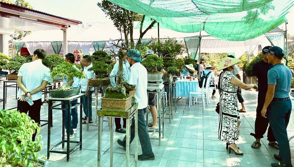 Giao lưu nghệ thuật bonsai Thái Nguyên: Đoàn kết, phát triển và vươn tầm