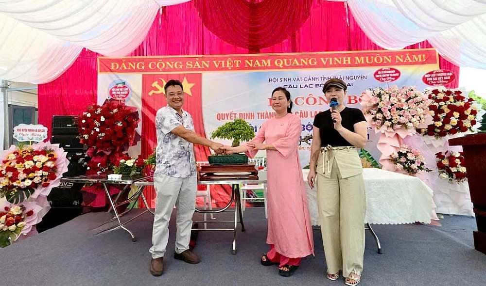 Giao lưu nghệ thuật bonsai Thái Nguyên: Đoàn kết, phát triển và vươn tầm