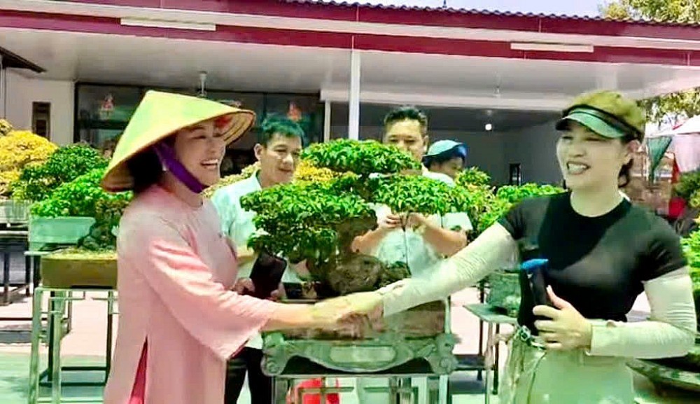 Giao lưu nghệ thuật bonsai Thái Nguyên: Đoàn kết, phát triển và vươn tầm