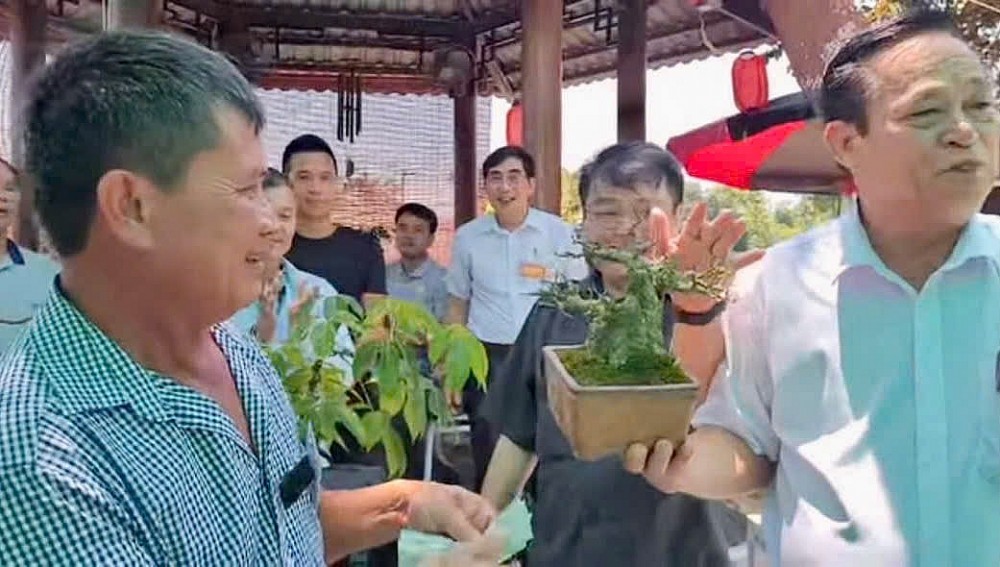 Giao lưu nghệ thuật bonsai Thái Nguyên: Đoàn kết, phát triển và vươn tầm