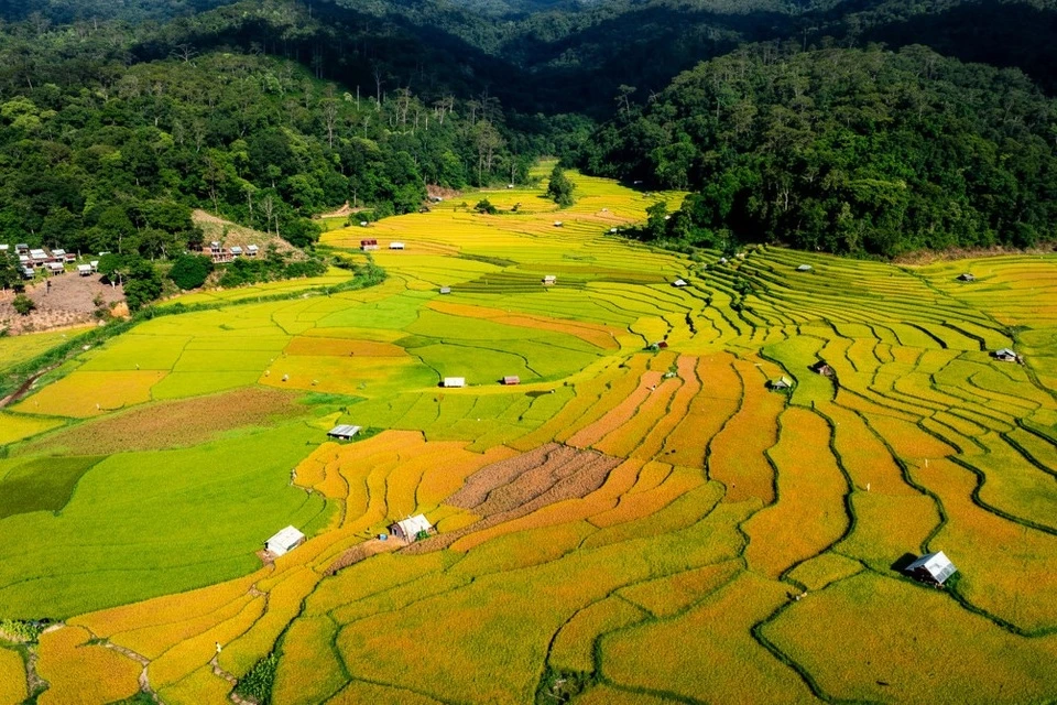 Khung cảnh như tranh ở Kon Tu Rằng hút khách đến Măng Đen