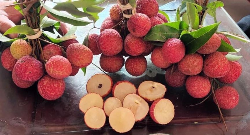 Sự thật về tác dụng 