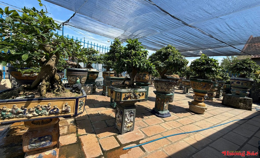 Nghệ nhân Trần Thiện: Kỳ công giữ “hồn” mai xưa trong những chậu gốm cổ Nghệ nhân Trần Thiện: Kỳ công giữ “hồn” mai xưa trong những chậu gốm cổ