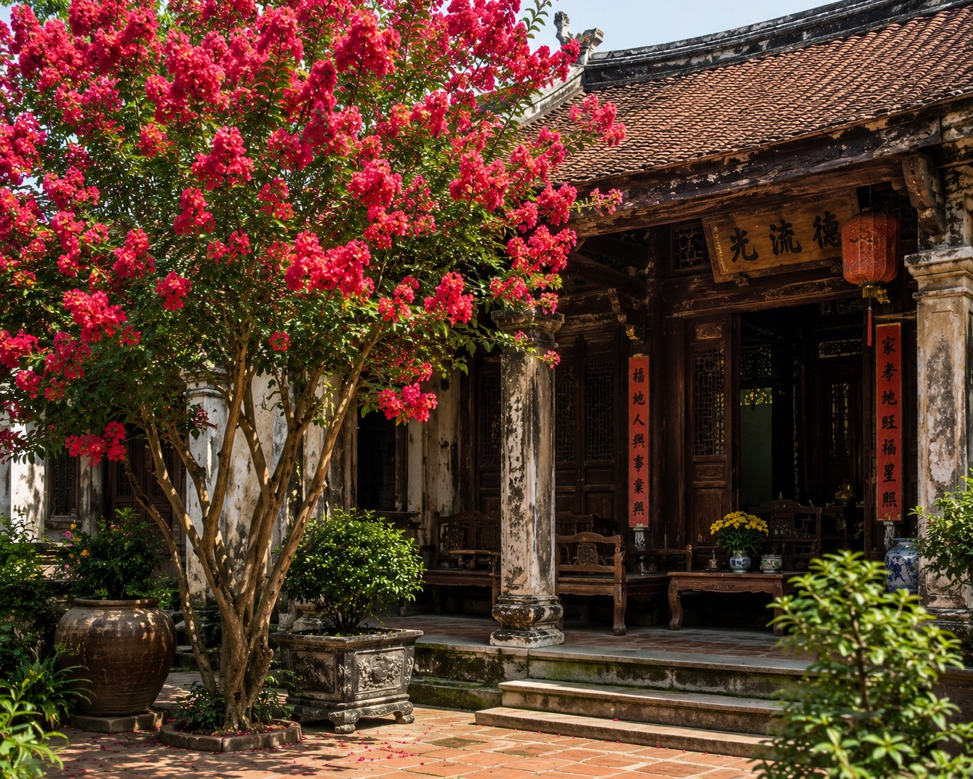 Trước cửa có cây, sau nhà có phúc: 3 loại cây cảnh được người xưa đặc biệt coi trọng Trước cửa có cây, sau nhà có phúc: 3 loại cây cảnh được người xưa đặc biệt coi trọng