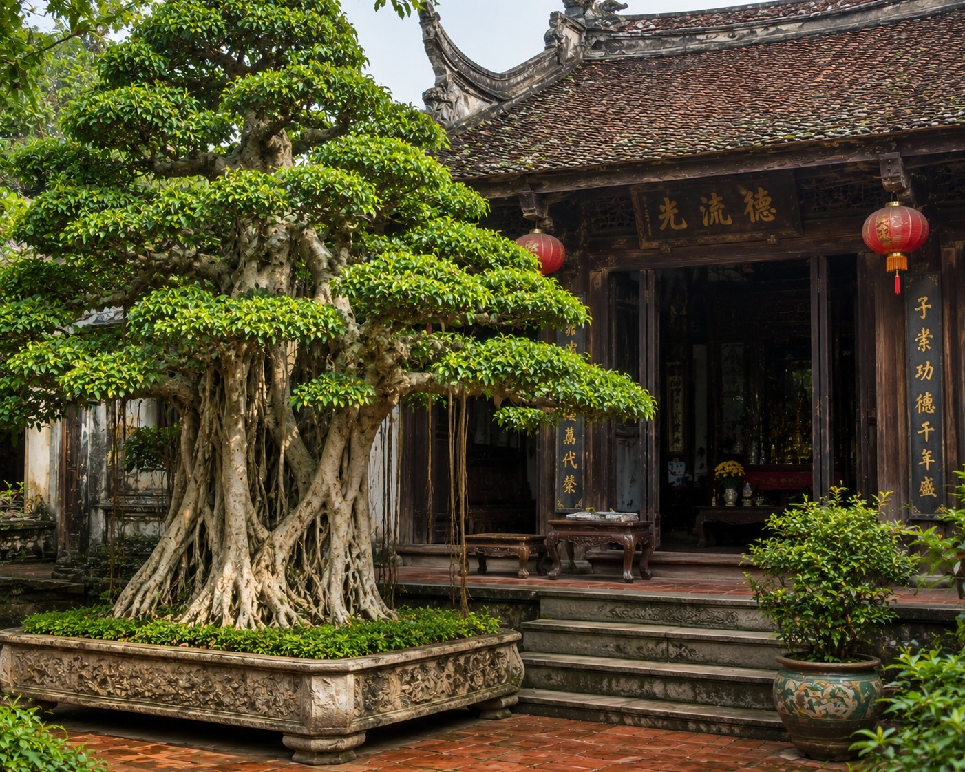 Trước cửa có cây, sau nhà có phúc: 3 loại cây cảnh được người xưa đặc biệt coi trọng Trước cửa có cây, sau nhà có phúc: 3 loại cây cảnh được người xưa đặc biệt coi trọng