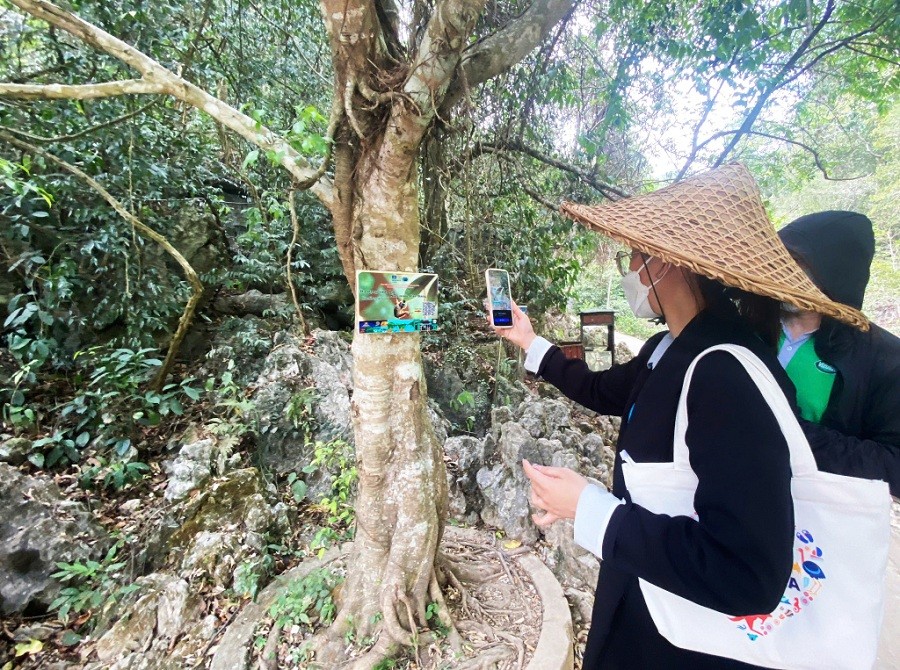 Cao Bằng: Phát huy giá trị rừng trong phát triển kinh tế du lịch Cao Bằng: Phát huy giá trị rừng trong phát triển kinh tế du lịch