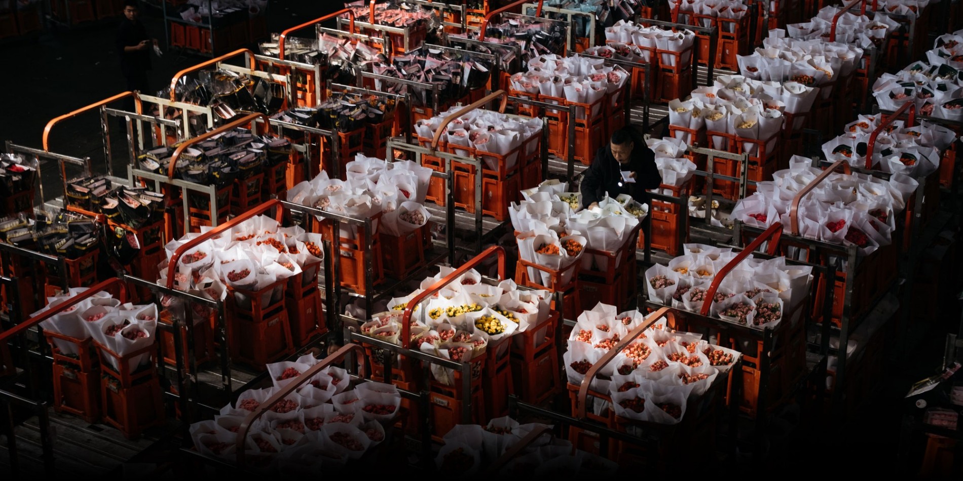 Chợ hoa lớn nhất châu Á: “Trái tim” của ngành hoa cảnh, nơi hàng tỷ cành hoa tỏa đi khắp thế giới