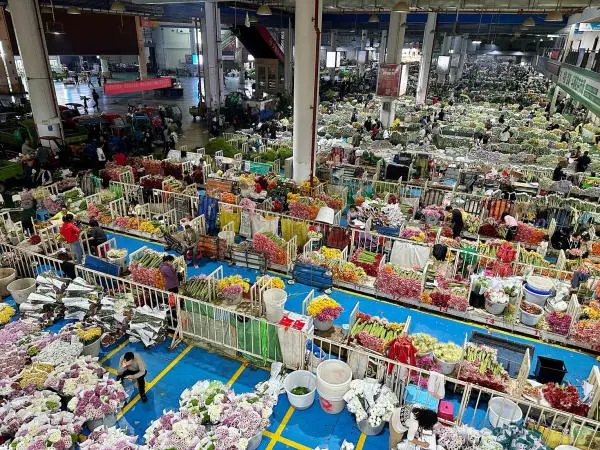 Chợ hoa lớn nhất châu Á: “Trái tim” của ngành hoa cảnh, nơi hàng tỷ cành hoa tỏa đi khắp thế giới