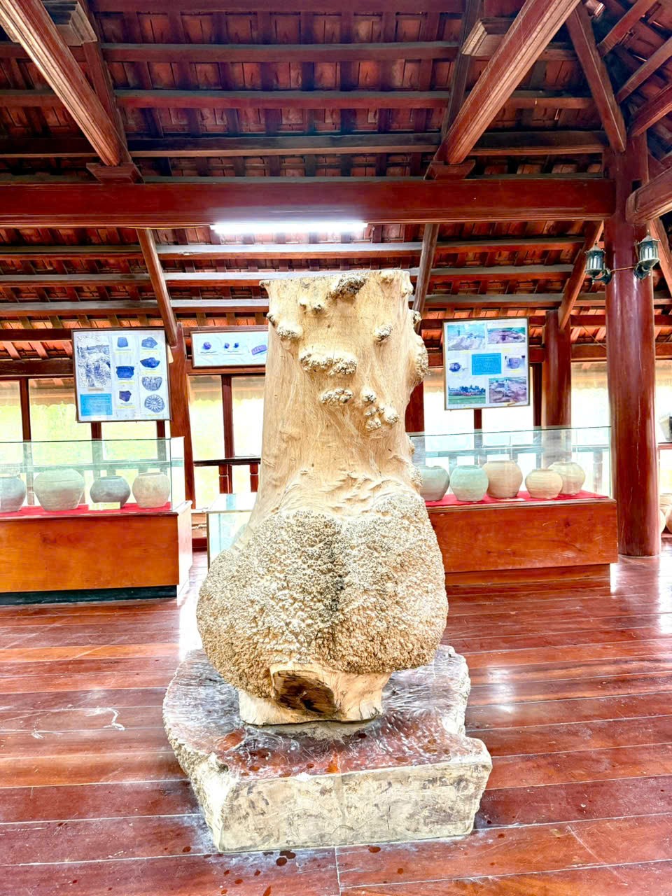 Bảo tàng Gốm Tam Thọ: Kết nối dòng chảy Đông Sơn với hiện đại