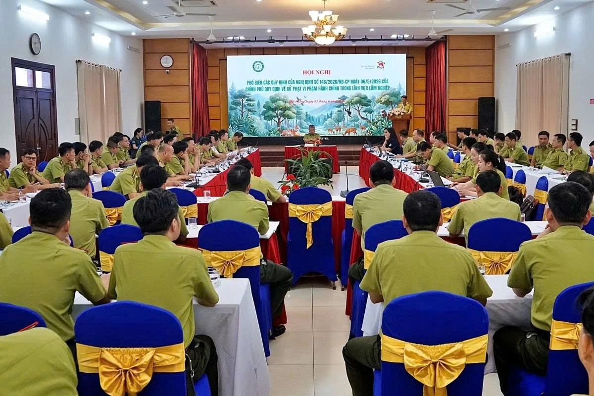 Hướng dẫn thực hiện Nghị định mới về xử phạt vi phạm hành chính trong lĩnh vực lâm nghiệp Hướng dẫn thực hiện Nghị định mới về xử phạt vi phạm hành chính trong lĩnh vực lâm nghiệp