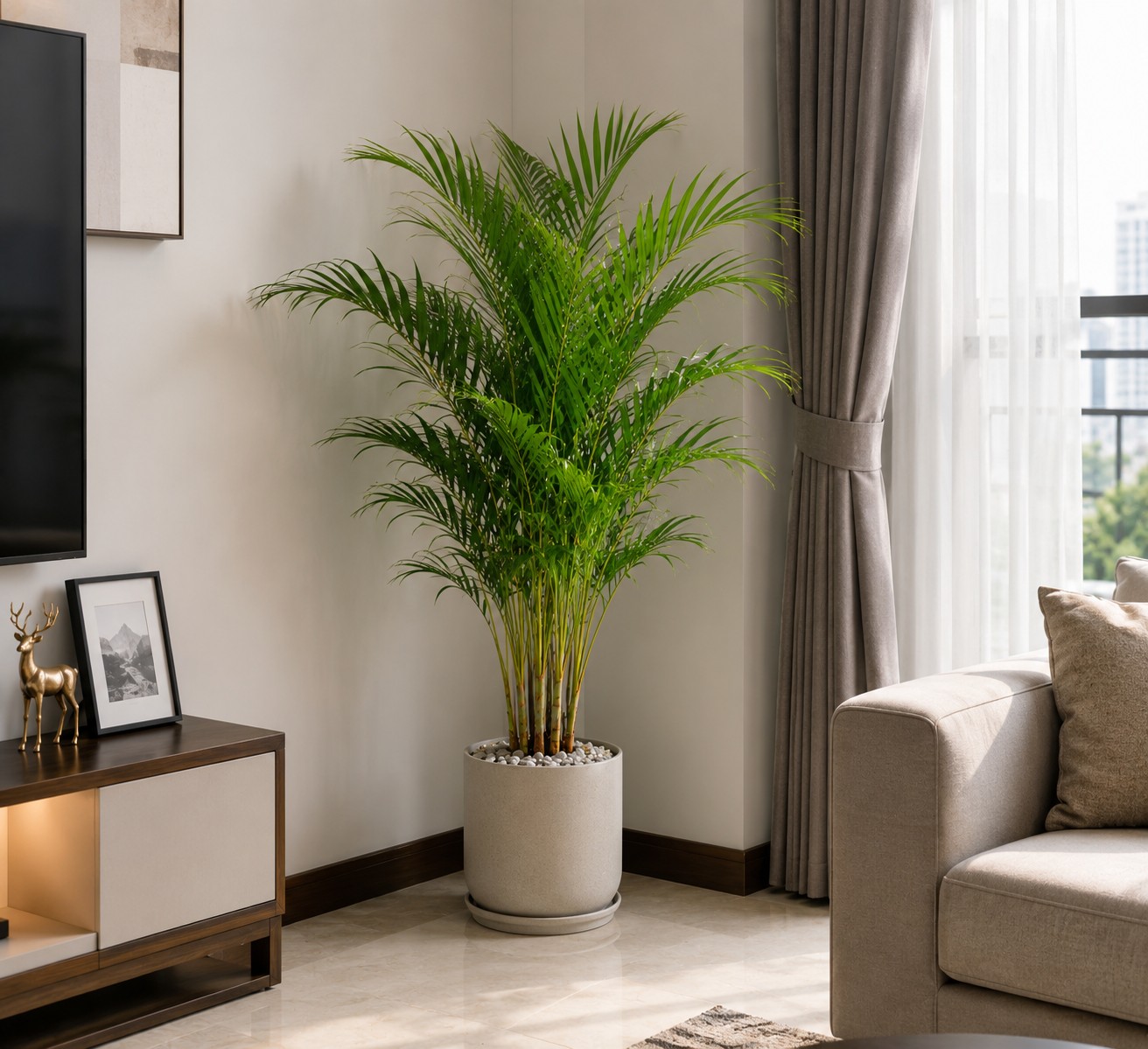 Trời nóng như đổ lửa, nhiều gia đình đặt ngay 4 loại cây này trong phòng khách Trời nóng như đổ lửa, nhiều gia đình đặt ngay 4 loại cây này trong phòng khách