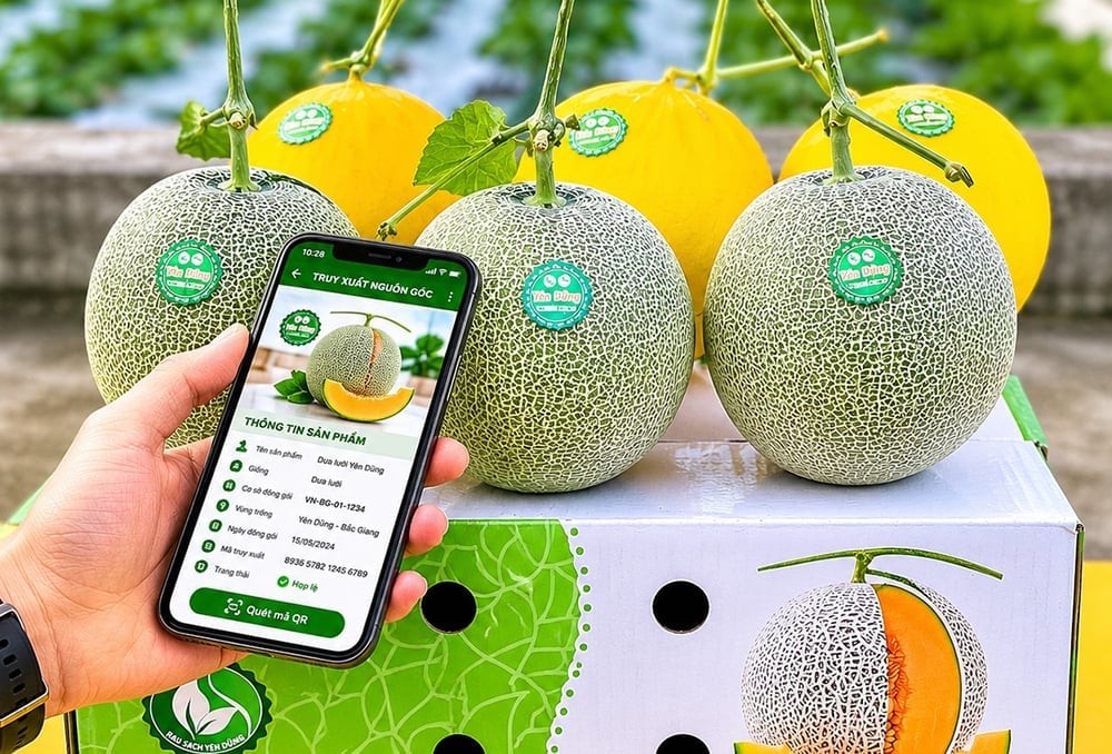 Doanh nghiệp, hợp tác xã Bắc Ninh được hỗ trợ tra cứu thông tin xuất khẩu trực tuyến