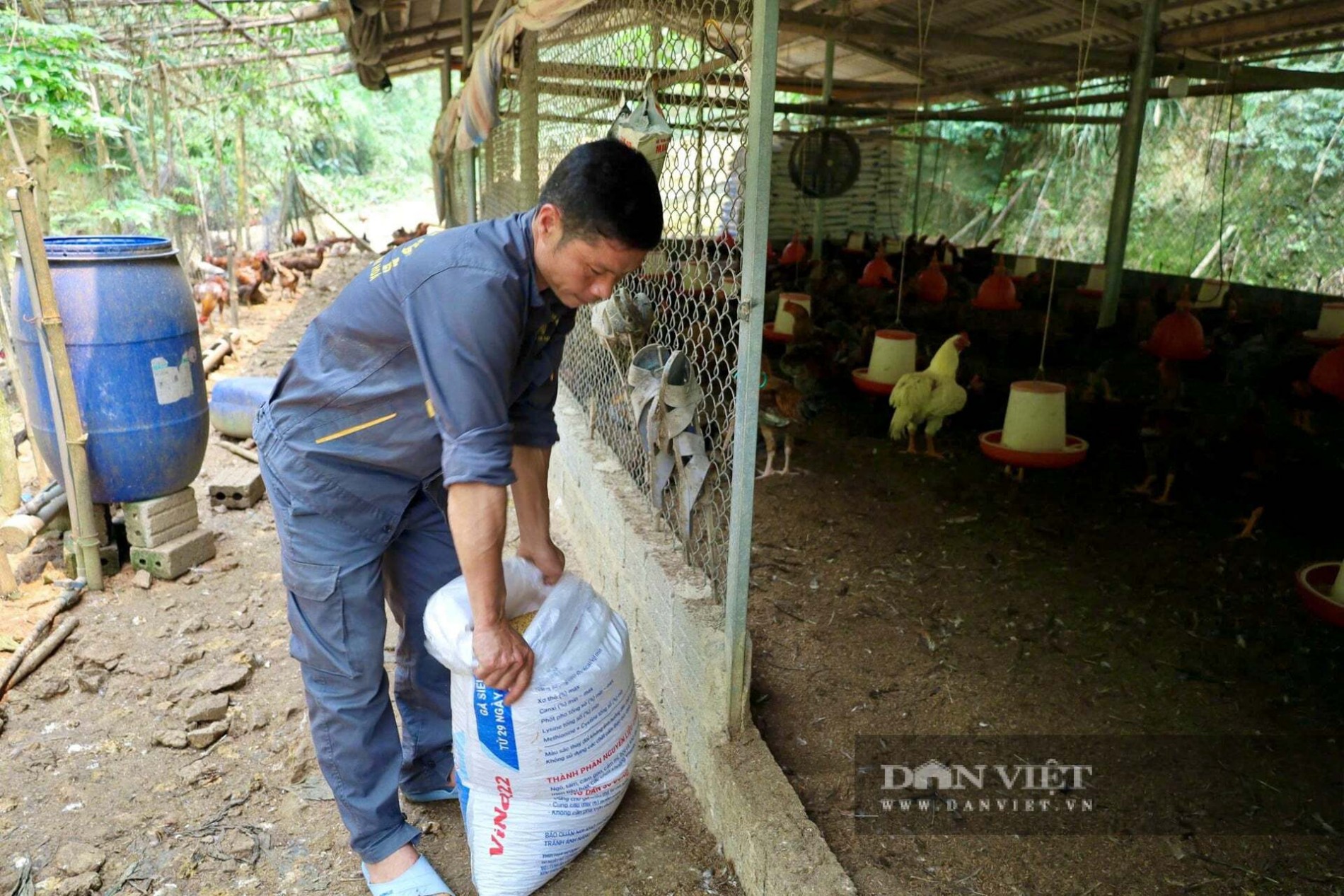 Hành trình gây dựng trang trại 14.000 con gà của người nông dân vùng cao xứ Thanh Hành trình gây dựng trang trại 14.000 con gà của người nông dân vùng cao xứ Thanh