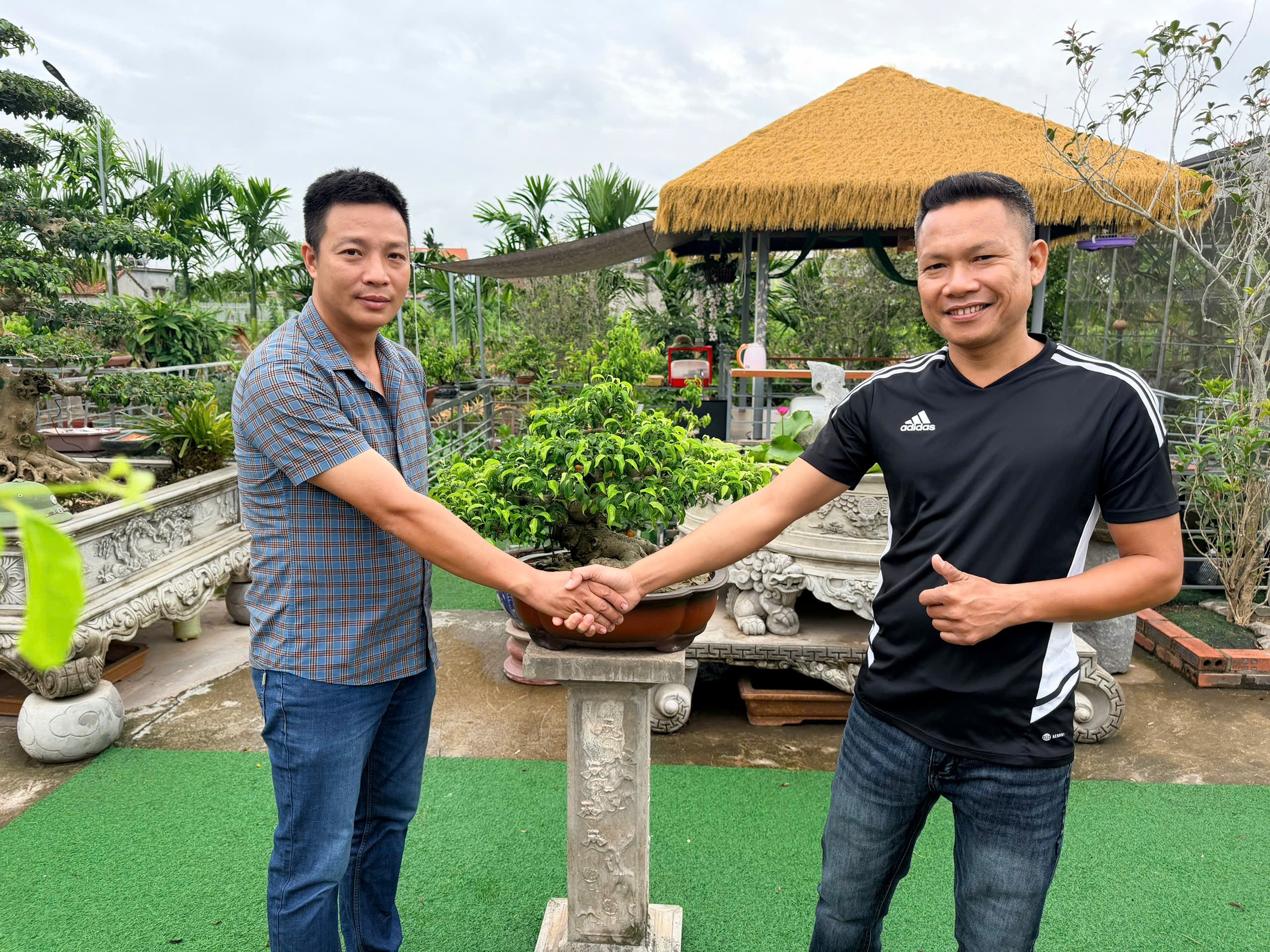 CLB Truyền thông Thương mại Bonsai Việt Nam kết nối giao thương tại Ninh Bình