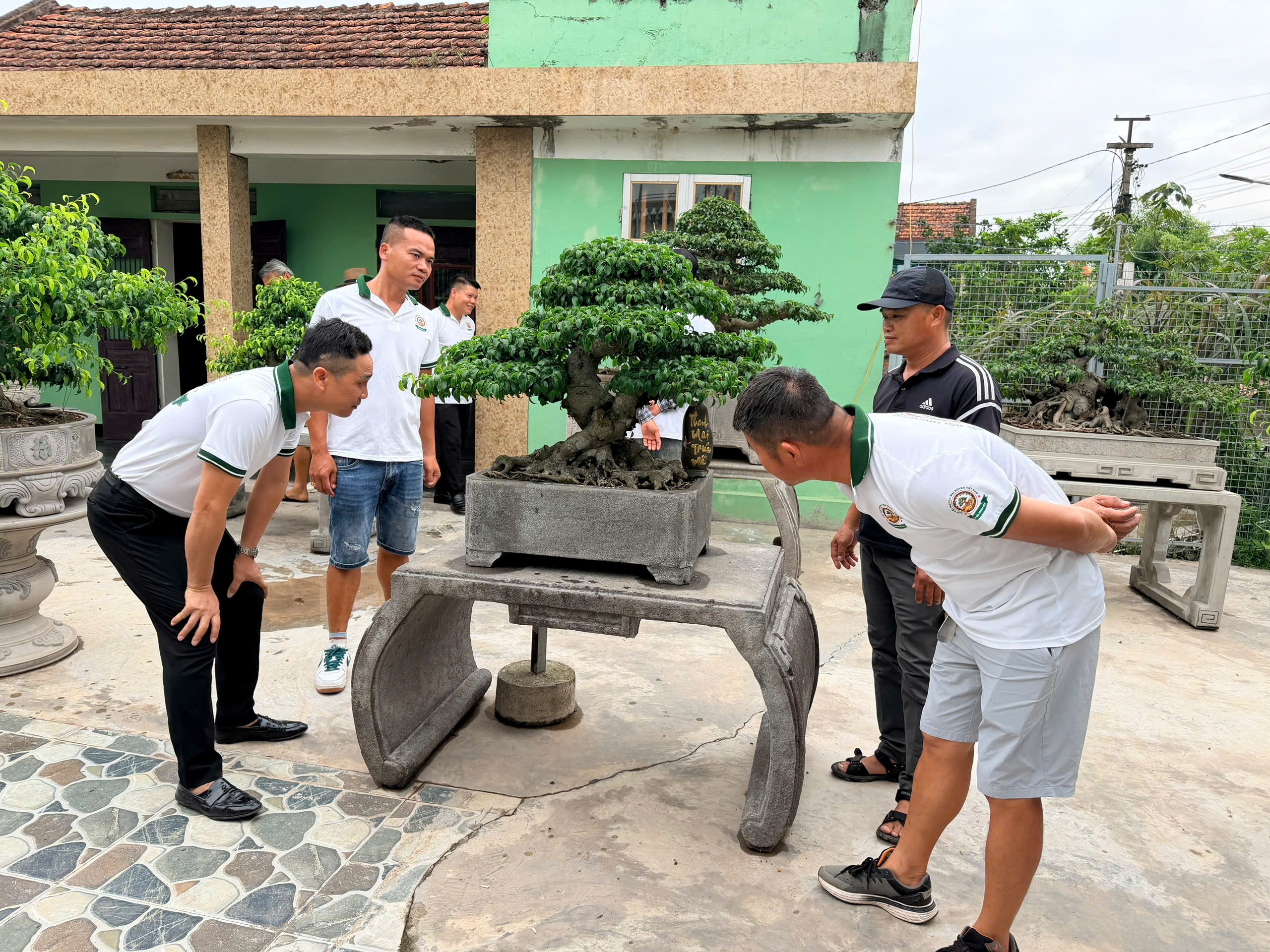CLB Truyền thông Thương mại Bonsai Việt Nam kết nối giao thương tại Ninh Bình