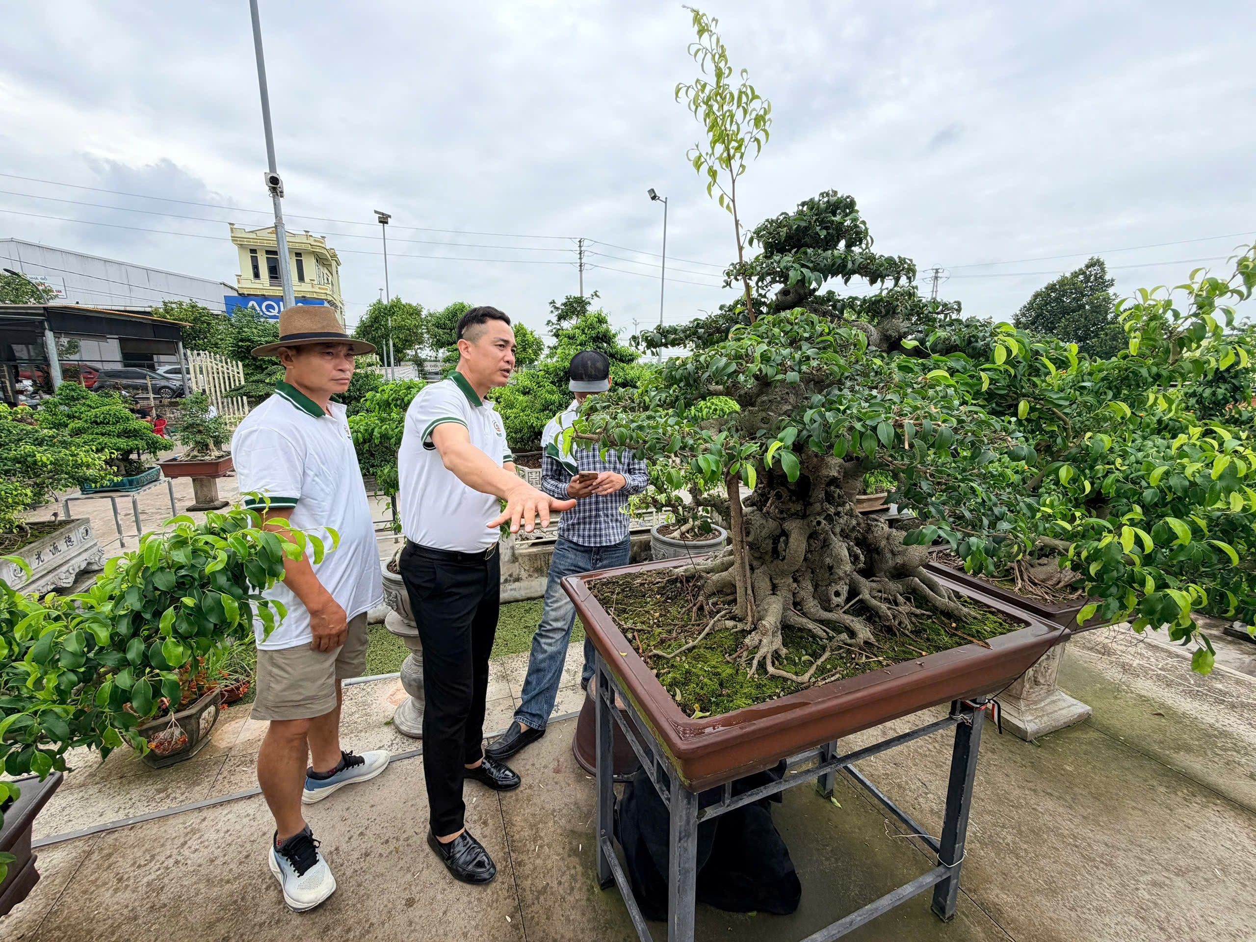 CLB Truyền thông Thương mại Bonsai Việt Nam kết nối giao thương tại Ninh Bình