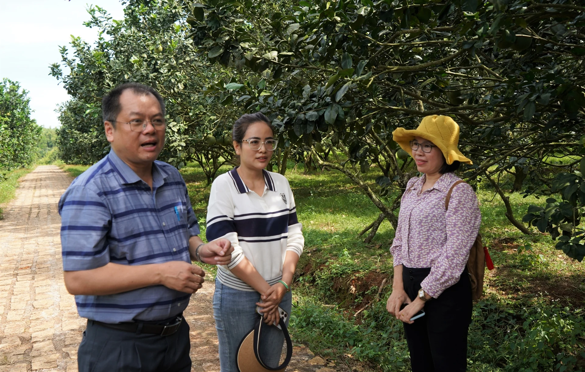 Xuất khẩu sang 14 nước, bưởi Việt đứng trước cơ hội lớn Xuất khẩu sang 14 nước, bưởi Việt đứng trước cơ hội lớn