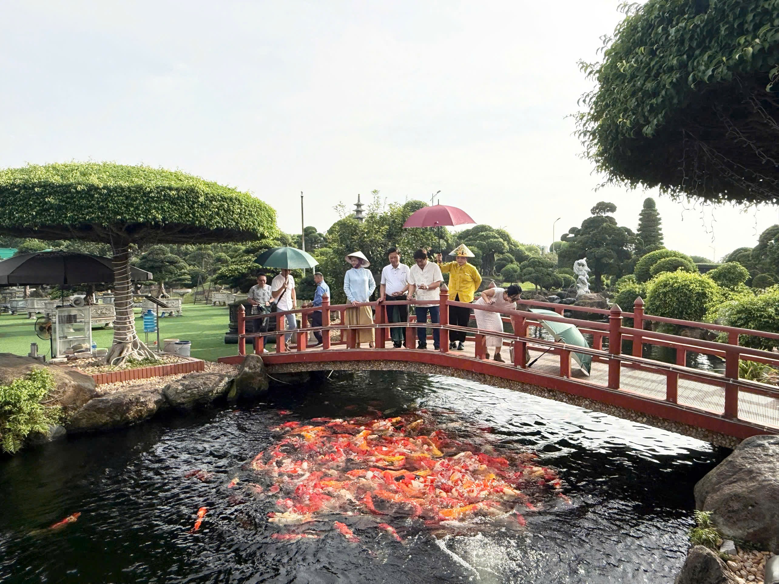 Hội Sinh vật cảnh Việt Nam tăng cường hợp tác với Hiệp hội Bonsai & Nghệ thuật đá cảnh Suiseki Malaysia Hội Sinh vật cảnh Việt Nam tăng cường hợp tác với Hiệp hội Bonsai & Nghệ thuật đá cảnh Suiseki Malaysia