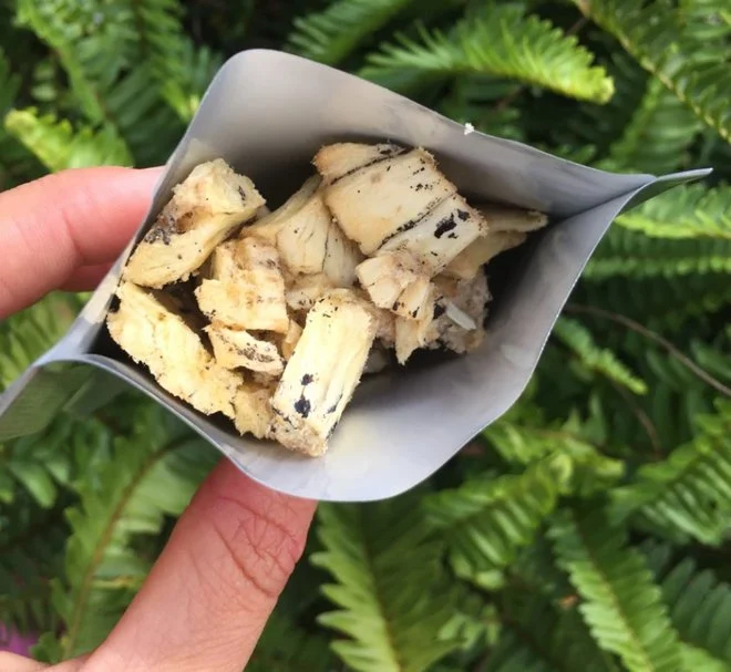 Loại quả nhìn như bắp ngô, giá gần triệu đồng/kg vẫn được săn lùng tại Việt Nam Loại quả nhìn như bắp ngô, giá gần triệu đồng/kg vẫn được săn lùng tại Việt Nam