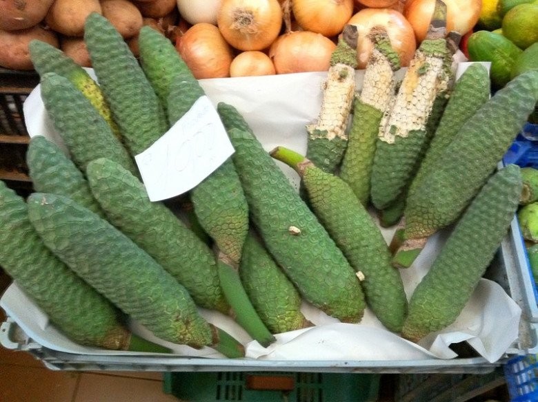 Loại quả nhìn như bắp ngô, giá gần triệu đồng/kg vẫn được săn lùng tại Việt Nam Loại quả nhìn như bắp ngô, giá gần triệu đồng/kg vẫn được săn lùng tại Việt Nam