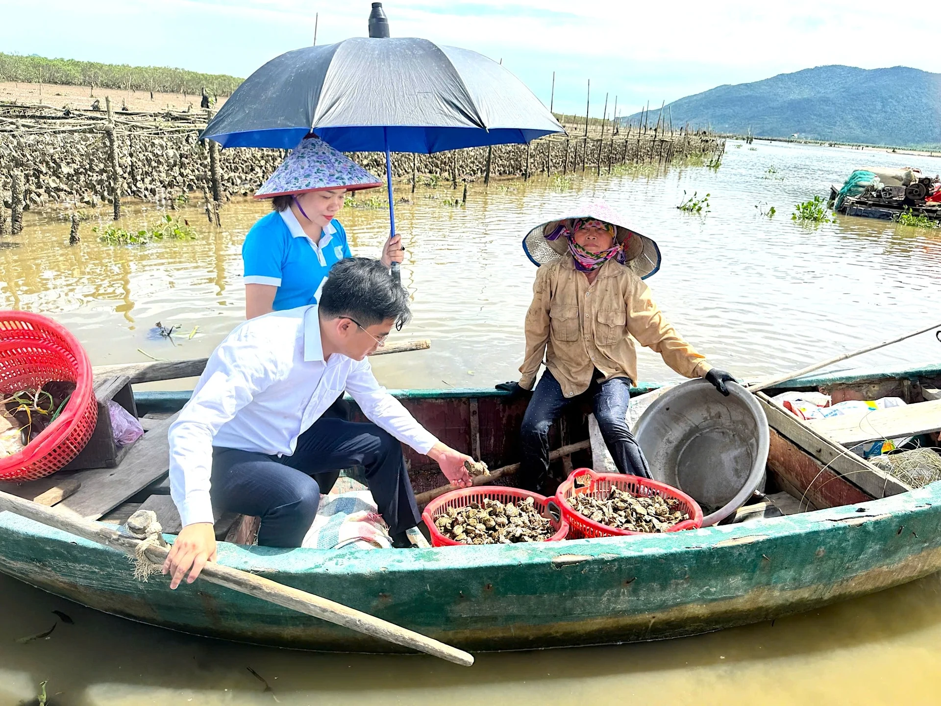 Thu nửa triệu đồng mỗi ngày từ mô hình nuôi hàu treo ở Cửa Sót Thu nửa triệu đồng mỗi ngày từ mô hình nuôi hàu treo ở Cửa Sót