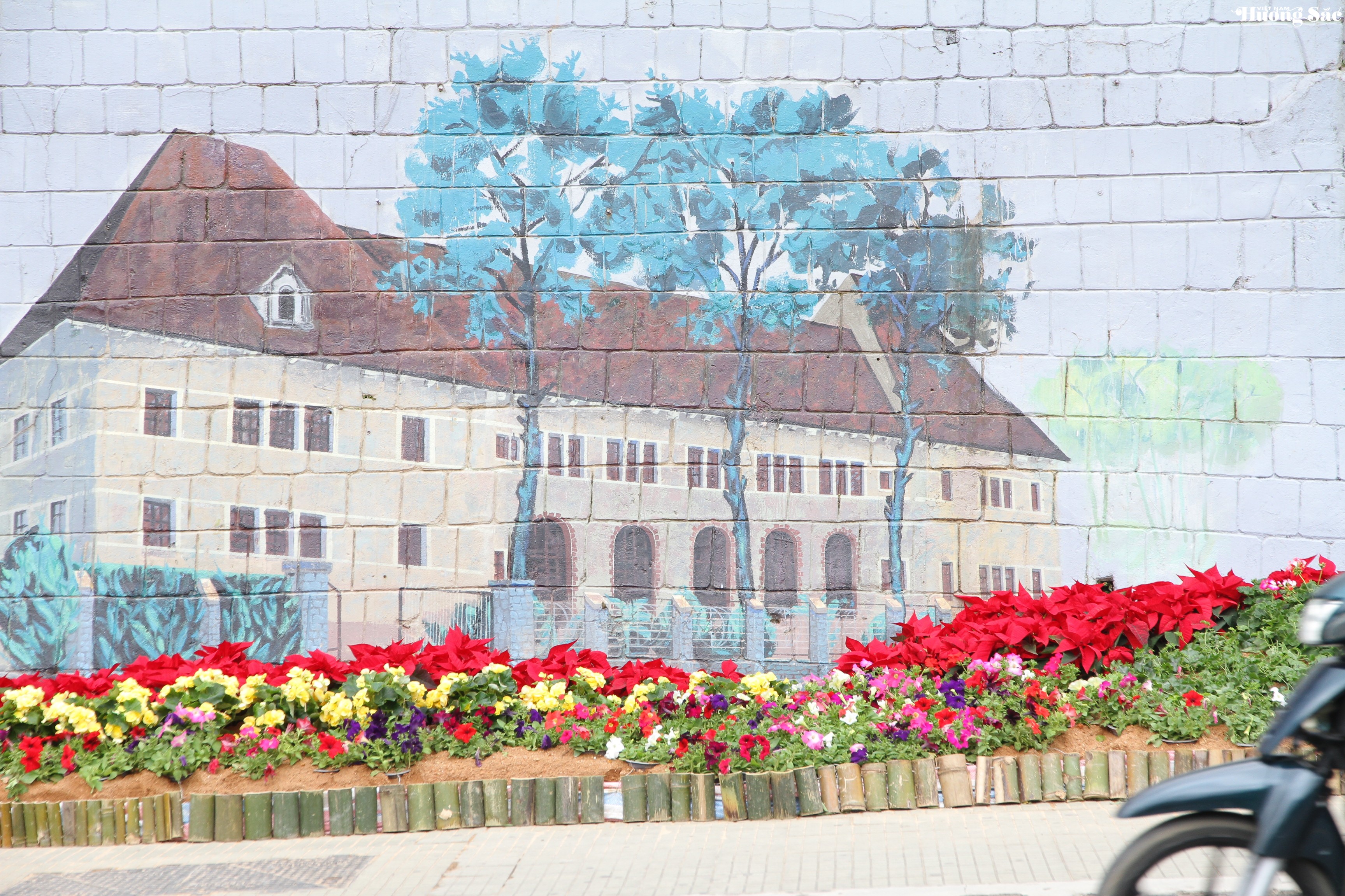 Graffiti: Khi những mảng tường đô thị Ngôn ngữ của cái đẹp: Hành trình xanh hóa Graffiti tại Việt Nam