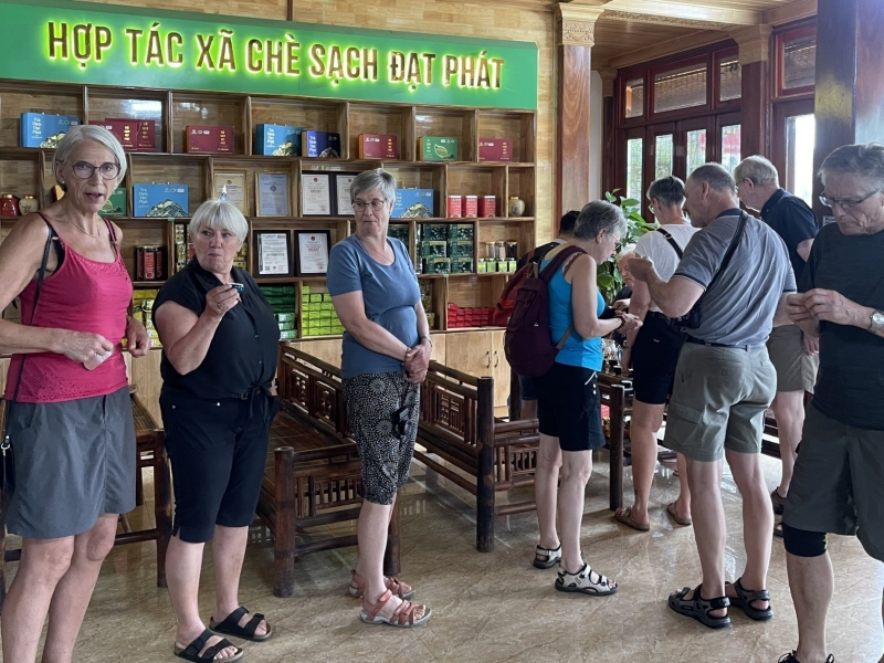 Thái Nguyên khai thác du lịch trải nghiệm từ văn hóa trà