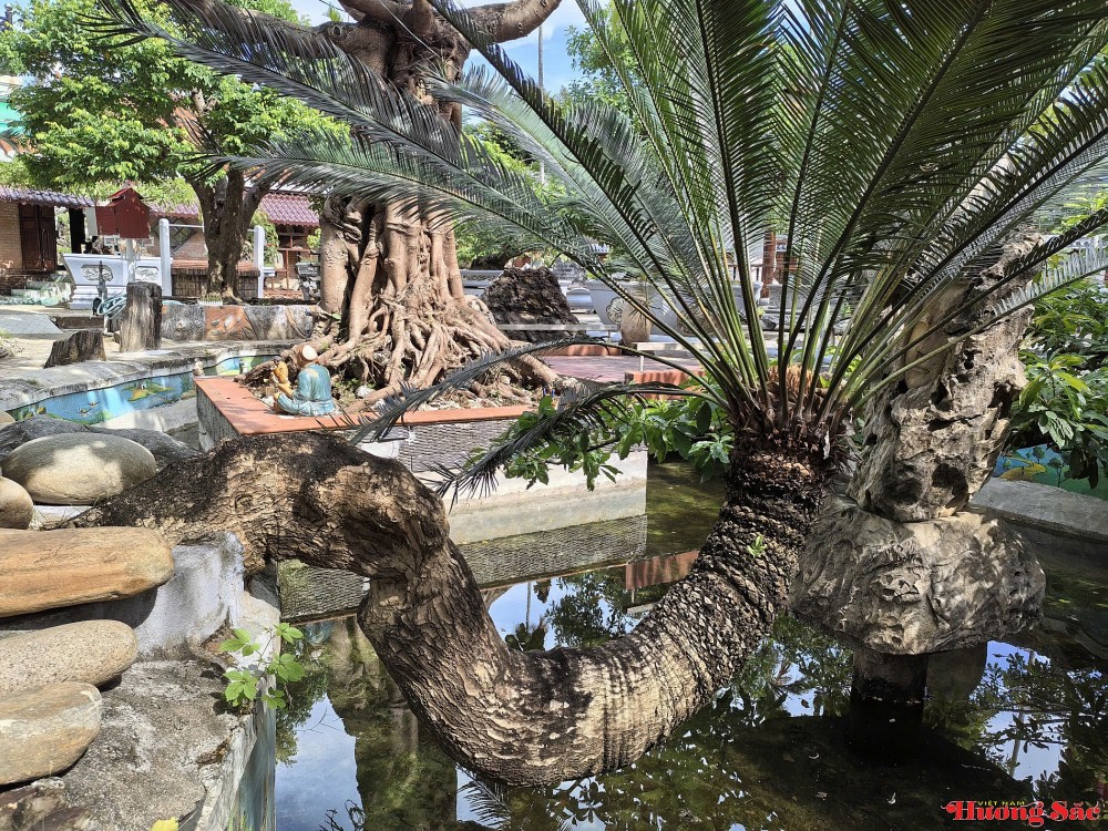 Bản hòa âm miên viễn của Cây – Đá – Gốm – Gỗ giữa lòng di sản Ngọc Minh Bản hòa âm miên viễn của Cây – Đá – Gốm – Gỗ giữa lòng di sản Ngọc Minh