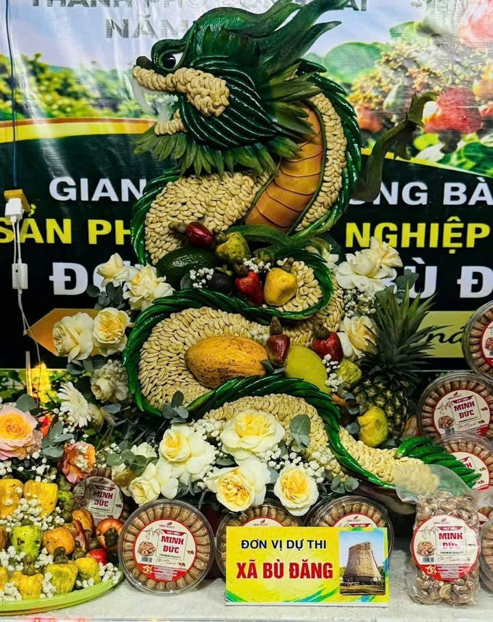 Cây điều Đồng Nai: Từ ngành nông nghiệp tỷ USD đến cây bonsai độc đáo Cây điều Đồng Nai: Từ ngành nông nghiệp tỷ USD đến cây bonsai độc đáo