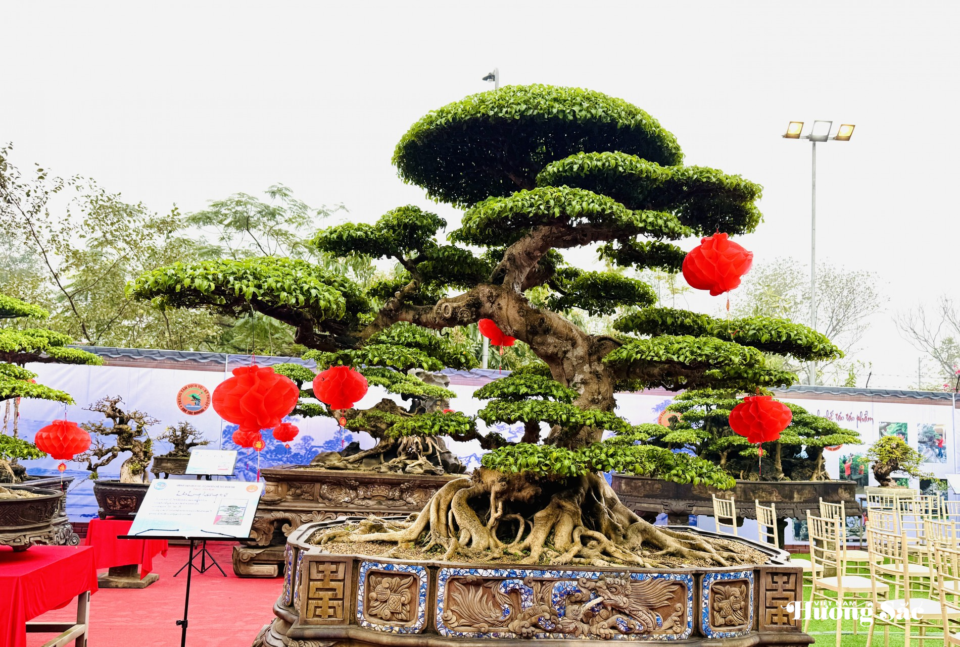 Nuôi chim, chơi cây theo đúng luật: Những 