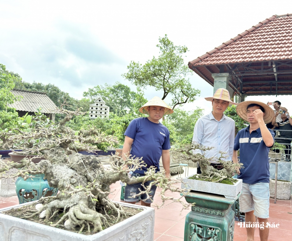 Nuôi chim, chơi cây theo đúng luật: Những 