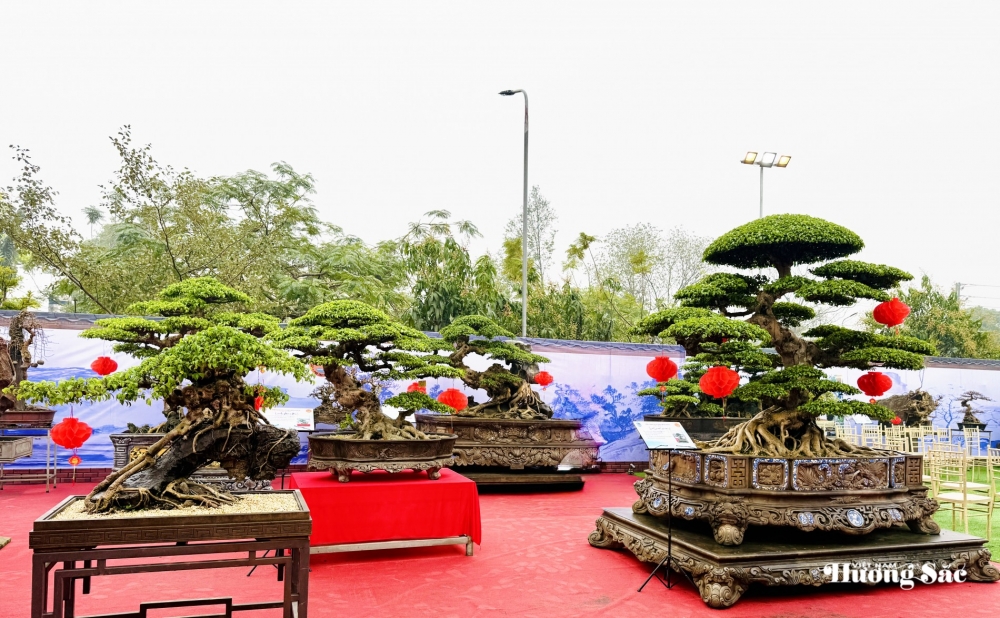 Nuôi chim, chơi cây theo đúng luật: Những 