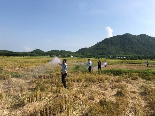 Nhức nhối tình trạng bẫy bắt chim yến trên địa bàn Khánh Hòa Nhức nhối tình trạng bẫy bắt chim yến trên địa bàn Khánh Hòa