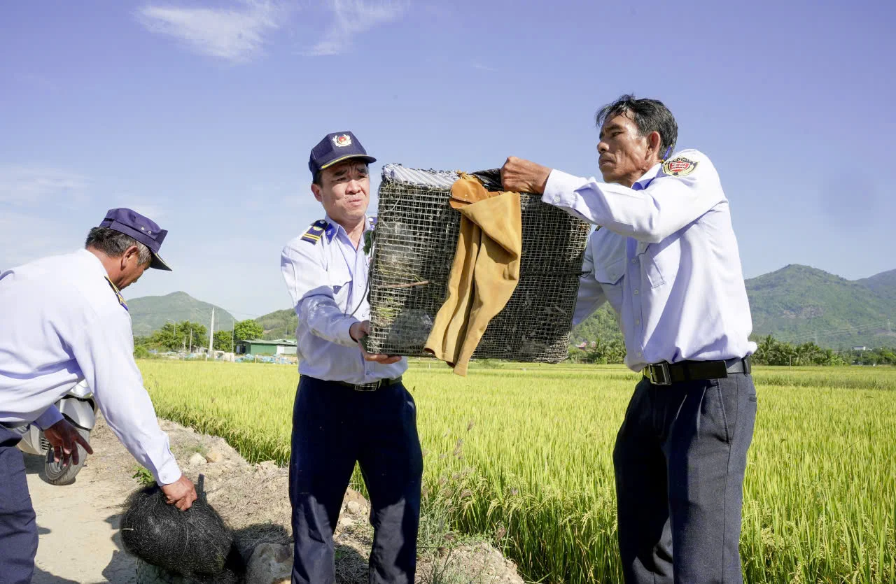 Nhức nhối tình trạng bẫy bắt chim yến trên địa bàn Khánh Hòa Nhức nhối tình trạng bẫy bắt chim yến trên địa bàn Khánh Hòa