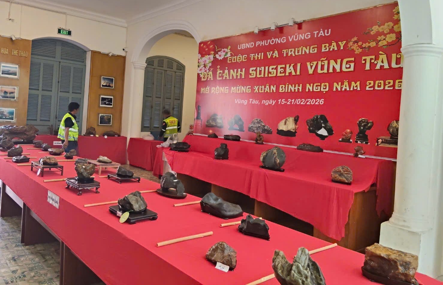 Truyền thông – ngọn gió đánh thức phong trào đá cảnh Việt Nam