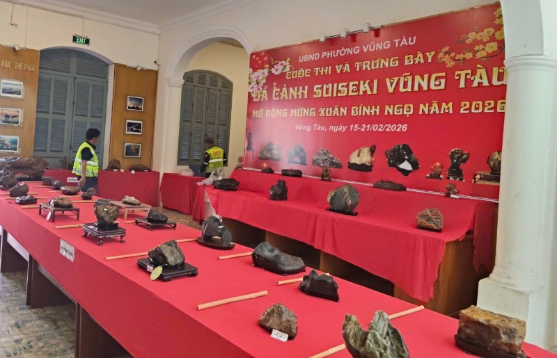 Truyền thông – ngọn gió đánh thức phong trào đá cảnh Việt Nam
