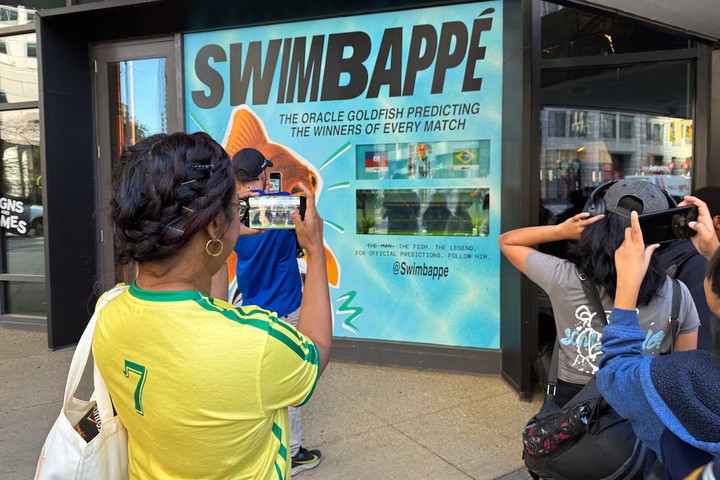 Cá vàng Swimbappe gây sốt World Cup 2026 với 14 lần dự đoán đúng
