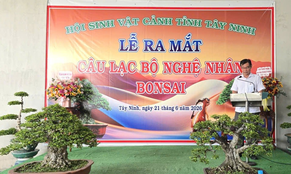 Ra mắt Câu lạc bộ Nghệ nhân Bonsai Tây Ninh – Dấu mốc mới của phong trào sinh vật cảnh địa phương Ra mắt Câu lạc bộ Nghệ nhân Bonsai Tây Ninh – Dấu mốc mới của phong trào sinh vật cảnh địa phương