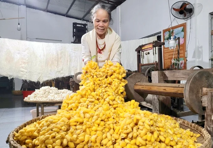Người “dạy” tằm dệt chăn, luyện sen nhả tơ ở làng Phùng Xá Người “dạy” tằm dệt chăn, luyện sen nhả tơ ở làng Phùng Xá