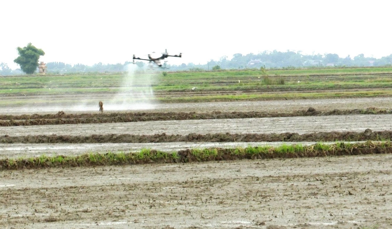 Drone “cất cánh” trên đồng lúa Diên Sanh, nông dân nhàn hơn, sản xuất hiệu quả hơn Drone “cất cánh” trên đồng lúa Diên Sanh, nông dân nhàn hơn, sản xuất hiệu quả hơn