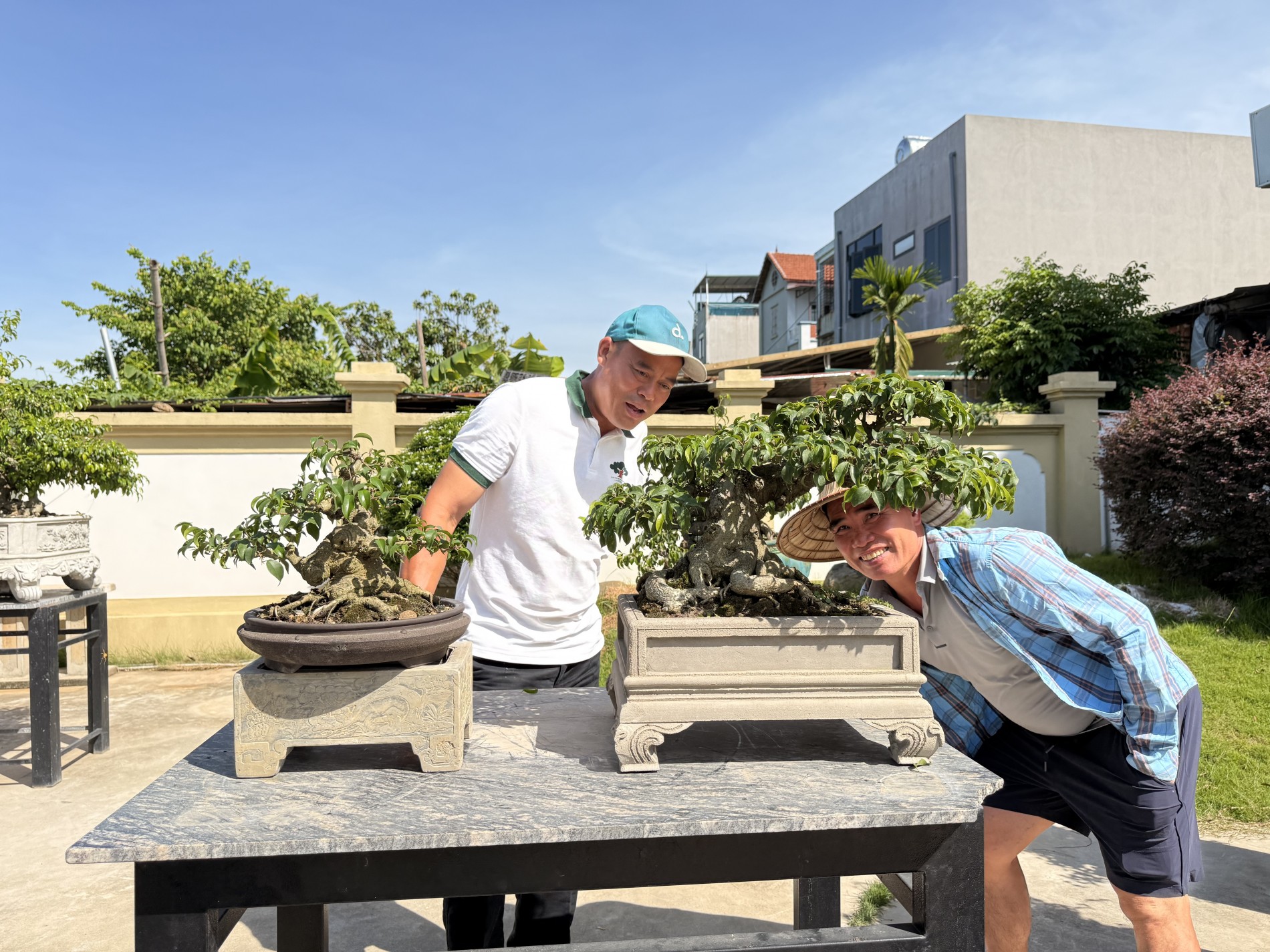 Giao lưu bonsai Phú Thọ: Kết nối đam mê, lan tỏa giá trị nghệ thuật SVC Giao lưu bonsai Phú Thọ: Kết nối đam mê, lan tỏa giá trị nghệ thuật SVC