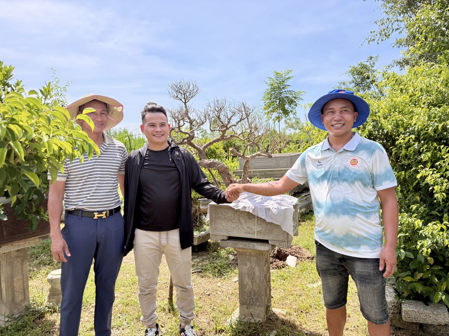Giao lưu bonsai Phú Thọ: Kết nối đam mê, lan tỏa giá trị nghệ thuật SVC Giao lưu bonsai Phú Thọ: Kết nối đam mê, lan tỏa giá trị nghệ thuật SVC