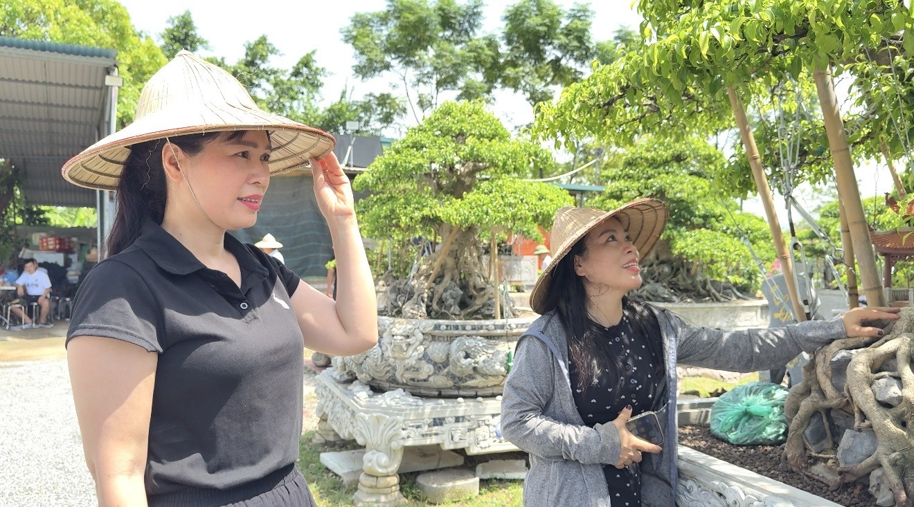 Giao lưu bonsai Phú Thọ: Kết nối đam mê, lan tỏa giá trị nghệ thuật SVC Giao lưu bonsai Phú Thọ: Kết nối đam mê, lan tỏa giá trị nghệ thuật SVC