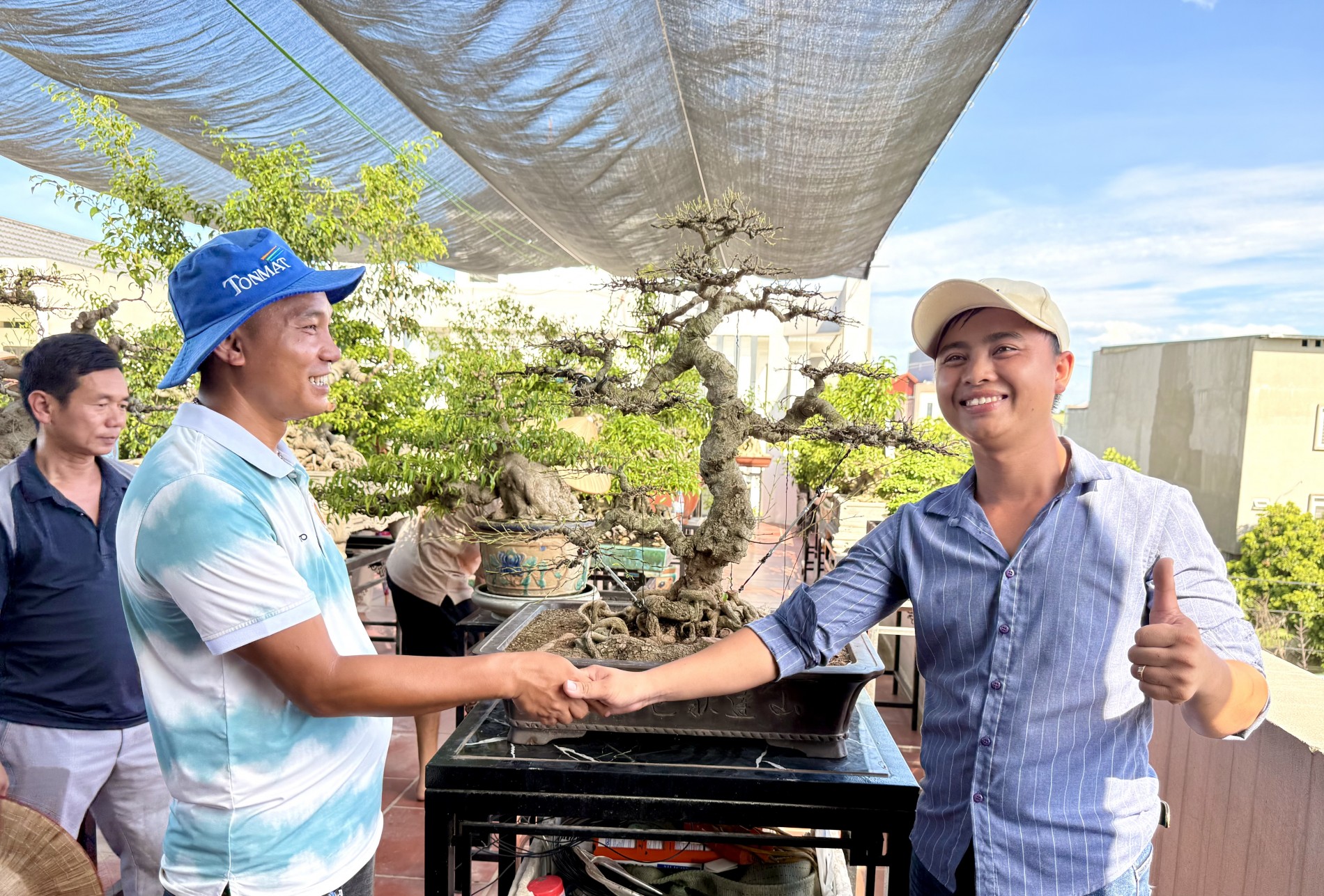 Giao lưu bonsai Phú Thọ: Kết nối đam mê, lan tỏa giá trị nghệ thuật SVC Giao lưu bonsai Phú Thọ: Kết nối đam mê, lan tỏa giá trị nghệ thuật SVC