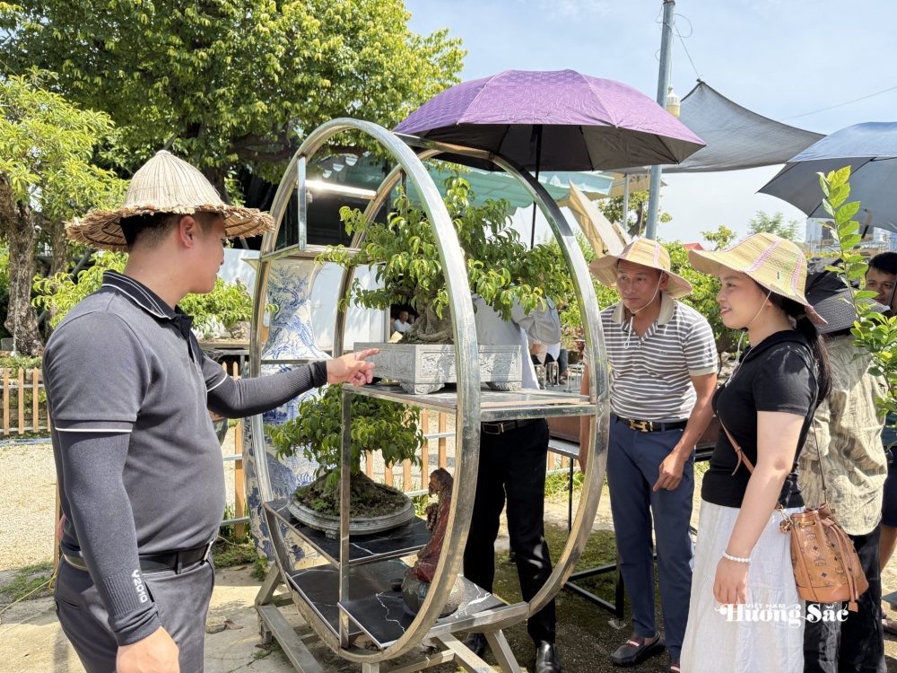 Giao lưu bonsai Phú Thọ: Kết nối đam mê, lan tỏa giá trị nghệ thuật SVC Giao lưu bonsai Phú Thọ: Kết nối đam mê, lan tỏa giá trị nghệ thuật SVC
